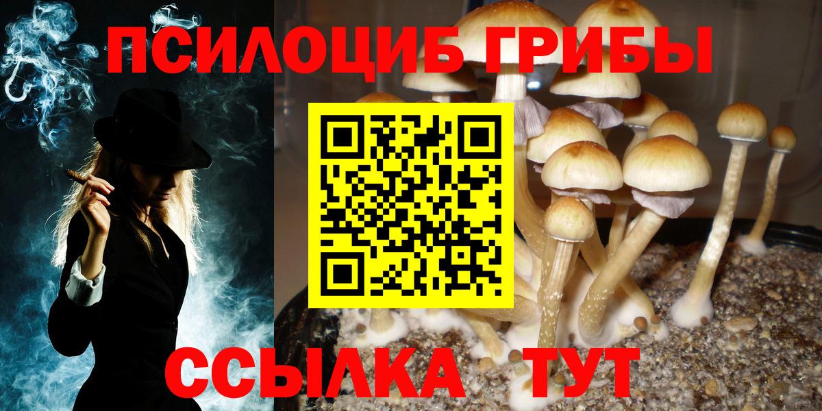 Псилоцибиновые грибы Magic Shrooms Мичуринск
