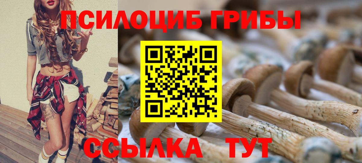 Мичуринск  где найти   Вход с VPN  Псилоцибиновые грибы ЛСД 